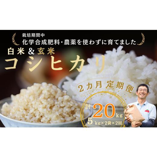 ふるさと納税 長野県 佐久穂町 定期便　白米５キロ＋玄米５キロ　炊きあがりのつやと香りが良く、うま味も強い　コシヒカリ　佐久穂とさや農園〔ST-W5B5-1-T2…