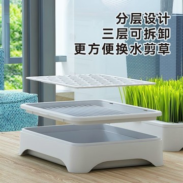 📣精選好物📣貓草水培盆栽盒 無土水培盒 貓草盆栽 種毛草 貓草盒 貓咪化毛  水培貓草盒水培小麥種子貓草卽食盆栽貓咪 L