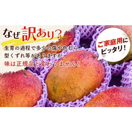 ふるさと納税 「訳あり」マンゴー 宮崎県産完熟マンゴー1.5ｋｇ（3玉〜5玉） 宮崎県宮崎市