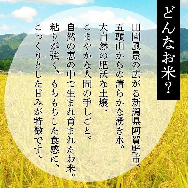 新米 令和5年 米 5kg コシヒカリ 新潟 送料無料 五頭山系 あすつく お米 5キロ 新潟県産 こしひかり 美味しいお米 昔ながらのもちもち