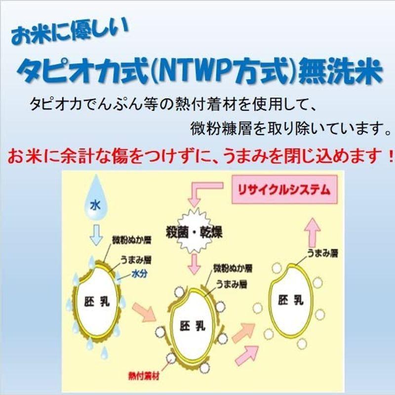 無洗米 4年産 新米 あきたこまち 10kg (5kg×2袋) 岡山県産