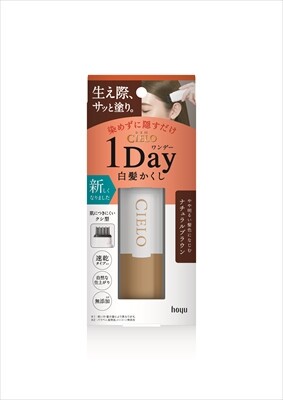 【 日本製 Cielo】 宣若 Hoyu 1 day速乾 白髮棒 補染梳 快速補染筆 局部補染棒 補染筆9ml