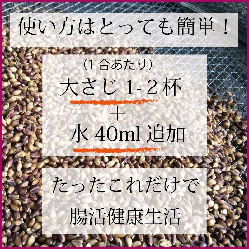 もち麦  お徳用 2kg 業務用 国産 農薬不使用 栄養価最高峰の殻付き紫もち麦品種