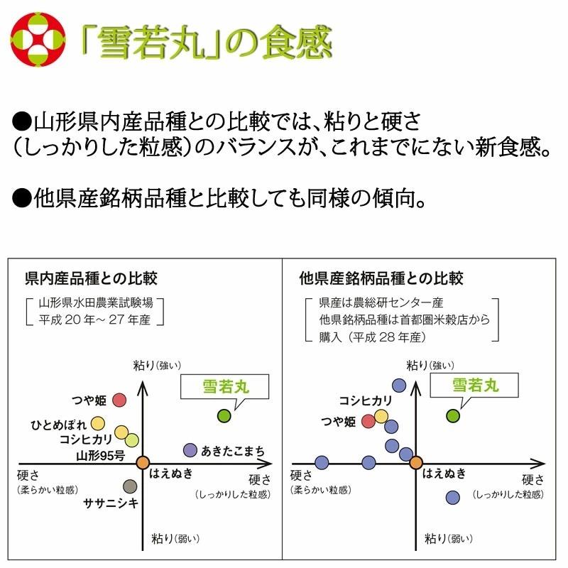 新米 ポイント消化 米 お米 雪若丸 300g (2合) ゆきわかまる 令和5年産 山形県産 白米 無洗米 分づき 玄米 送料無料 真空パック メール便 ゆうパケ