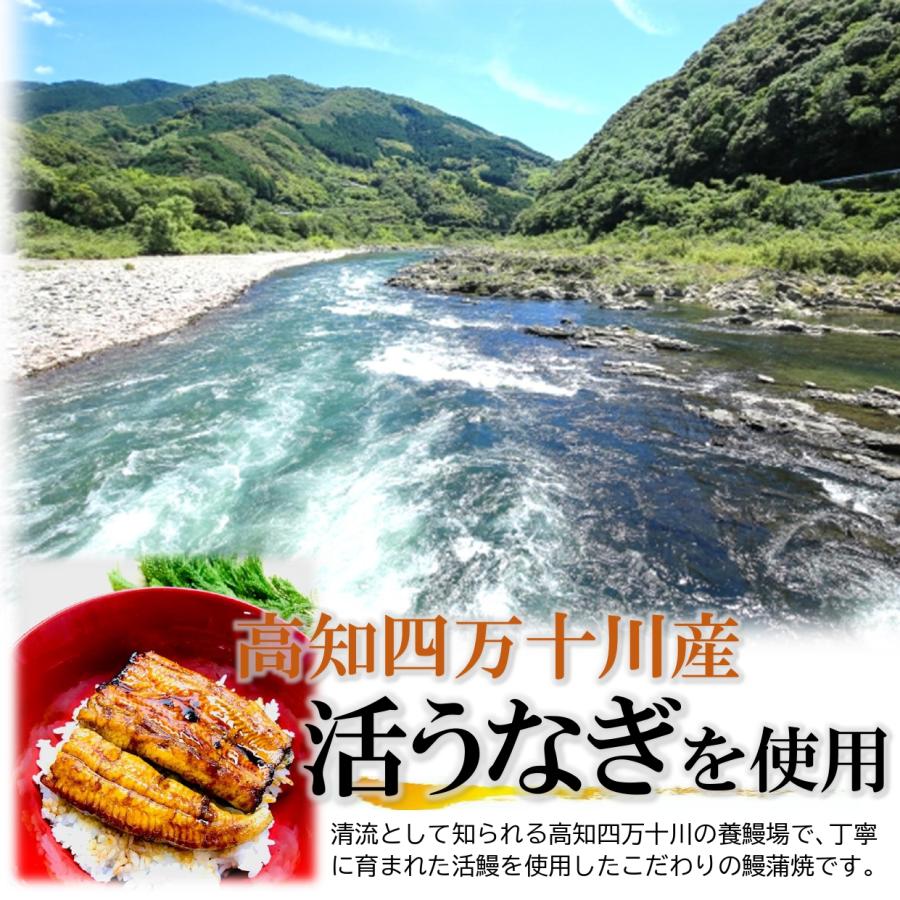 鰻 うなぎ 蒲焼き 国産 無頭 鰻蒲焼 大サイズ 160g前後×２尾 ウナギ 美味しい 大きい うなぎの蒲焼き 鰻の蒲焼 うなぎ蒲焼 国産うなぎ 贈り物 旬の味覚