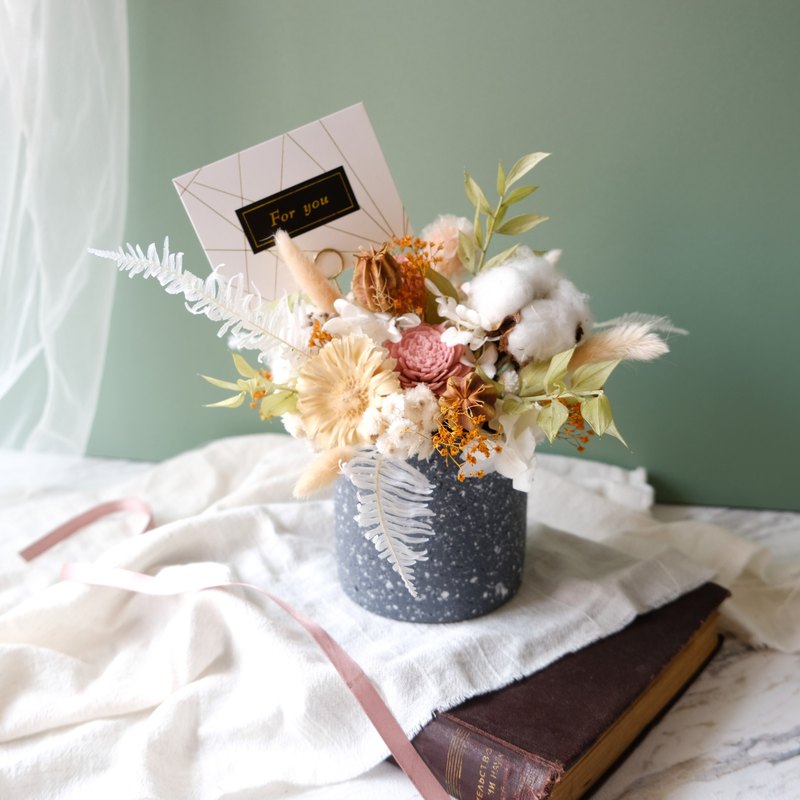 乾燥花盆花 乾燥花 開幕盆栽 棉花 七夕 情人節 祝賀新居 Pinkoi 設計購物網站 Line購物