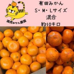 訳あり温州みかん１０ｋｇ（SMLサイズ混合）