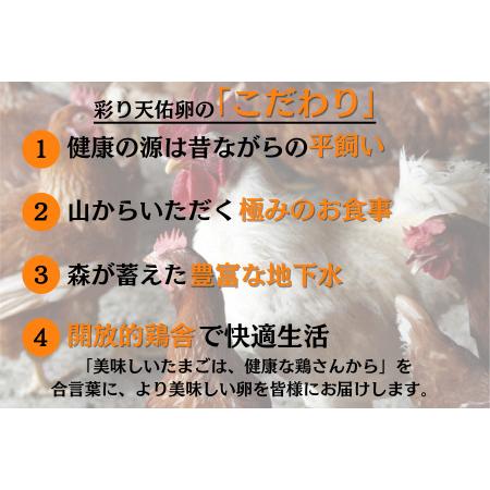 ふるさと納税 平飼い八雲鶏卵　彩り天佑卵 10個×3パック 定期便卵30個 月 卵合計180個 卵6回定期便 おいしい卵.. 島根県雲南市