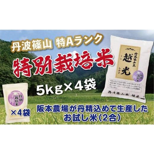 ふるさと納税 兵庫県 丹波篠山市 丹波篠山産　特Aランク　特別栽培米　越光（５ｋｇ×４袋）