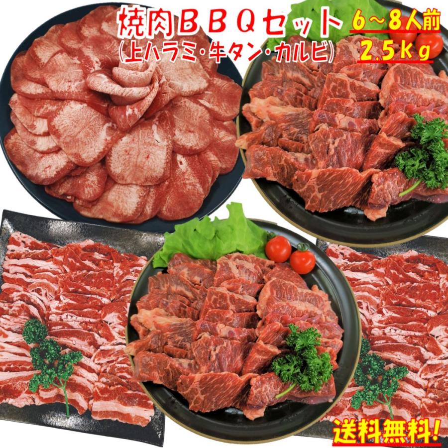 肉 牛タン 牛肉 焼肉セット バーベキュー 食材 ハラミ 薄切り 牛カルビ バラ 牛上ハラミ  バーベキューセット食材 焼肉 ２.5kg  6〜8人前