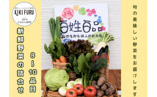 新鮮野菜の詰め合わせ（８～10品目）