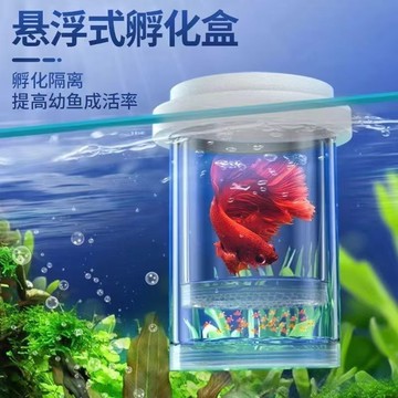 📣精選好物📣隔離盒孵化盒孔雀魚新款隔離懸浮幼魚産房魚苗懸浮式漂浮孵化懸浮 幼魚飼育盒 孔雀魚產房 飼育盒 隔離盒4MT5