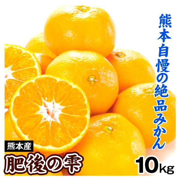 みかん 10kg 肥後の雫 訳あり 熊本産 蜜柑 ご家庭用 送料無料 食品