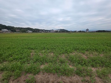 專任~芎林金獅段千坪黃金農牧用地首選｜新竹縣芎林鄉金獅段