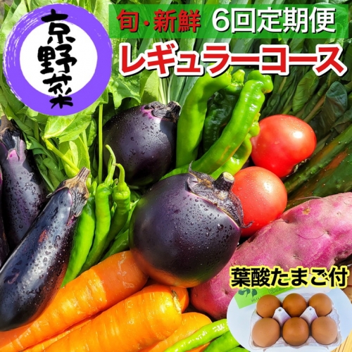 旬の京野菜　毎月お届けレギュラーコース（全6回）※沖縄・離島・諸島へのお届け不可