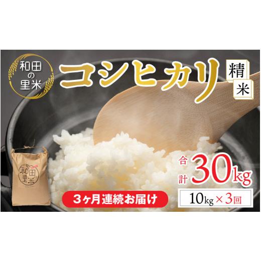 ふるさと納税 福井県 高浜町 和田の里米 コシヒカリ 白米(精米) 10kg×3回 計30kg