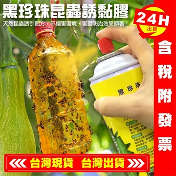 【艾瑞森】✨黑珍珠黏吊吊 昆蟲誘黏膠 誘捕果蠅 捕蠅膠 捕蠅紙 捕蠅器 捕蠅機 殺果蠅 抓果蠅 黏蠅板 果蠅 蒼蠅 捕蠅