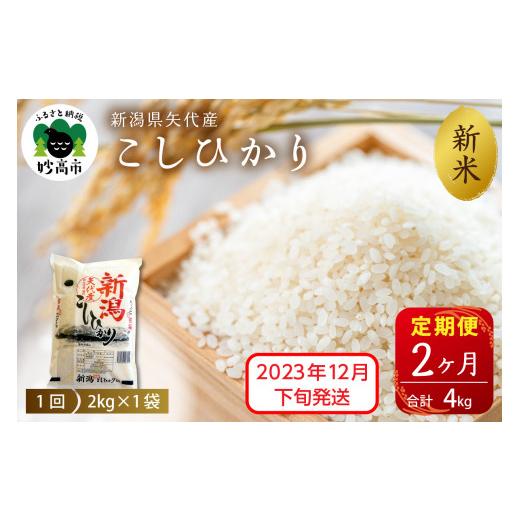 ふるさと納税 新潟県 妙高市 新潟県矢代産コシヒカリ2kg×2回（計4kg）