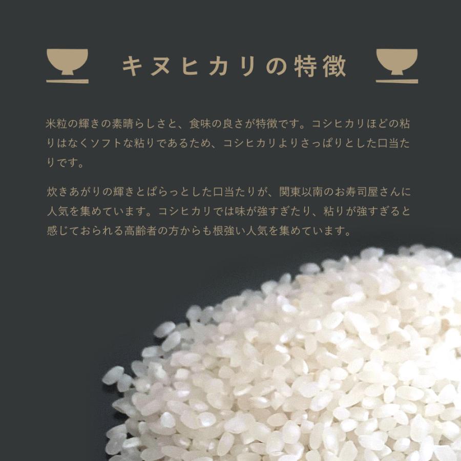 令和4年産新米 和歌山県産 赤津直基さんのキヌヒカリ 2kg 精米済み 白米 送料無料