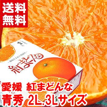 お歳暮 ギフト 愛媛県産 紅まどんな 青秀2L.3Lサイズ 2.7kg