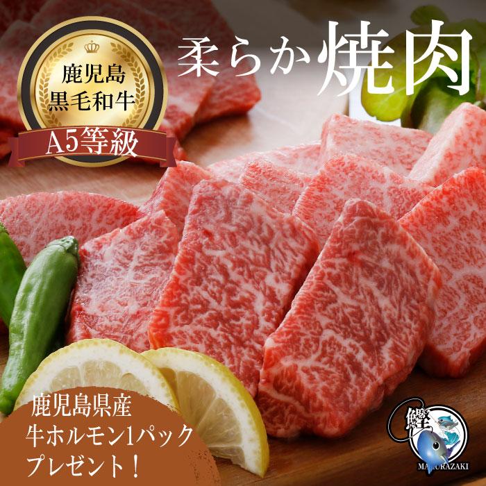 お歳暮 焼肉セット 国産 鹿児島 黒毛和牛 A5等級 やわらか焼肉セット 300g ホルモン付き 牛肉  プレゼント 焼肉