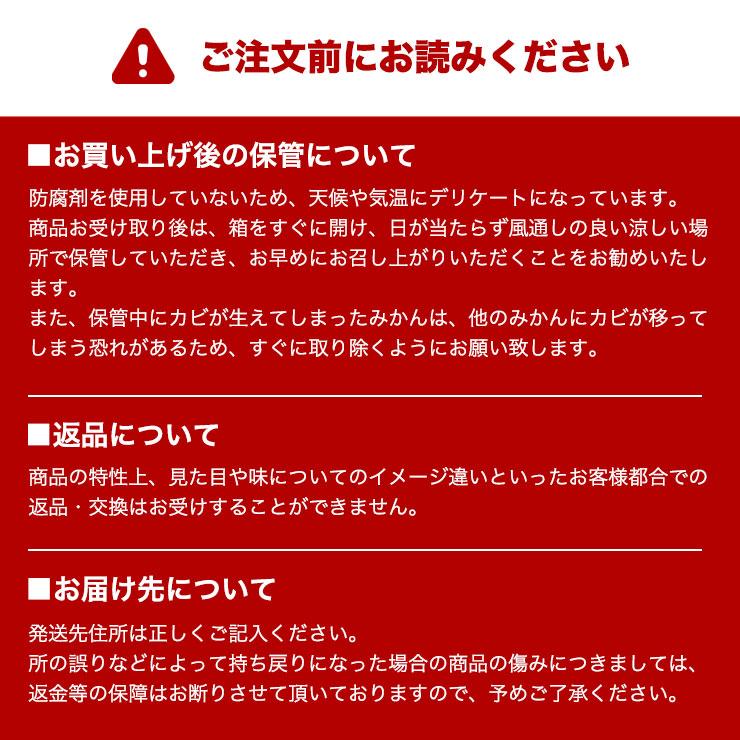 三ヶ日 早生 みかん5kg どうまいらぁ！ 小粒 3S 2S サイズ混合 みかん 送料無料 三ヶ日みかん みかん 産地直送 ミカン 蜜柑 5キロ 美味しい ギフト プレゼント