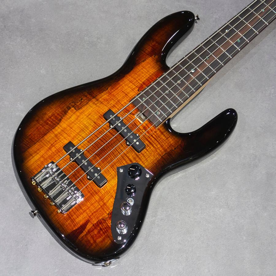 infinite  Trad JB 5st Active Bendtop Spolted Maple Bengal Burst