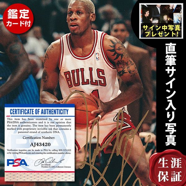 大好評です ポップアートパネル デニス ロッドマン NBA econet.bi