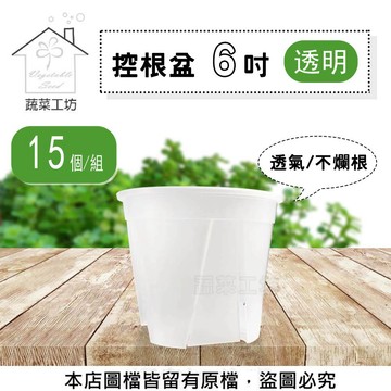 蔬菜工坊 控根盆6吋 透明 15個/組- 透明 花盆 控根 盆器