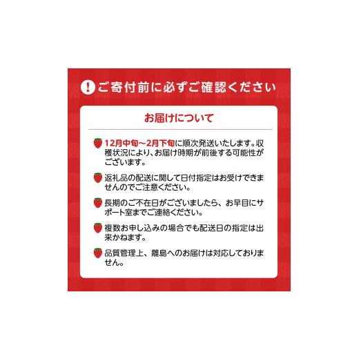 ふるさと納税 福岡県 久留米市 ちょっと贅沢あまおうプレミアムセット