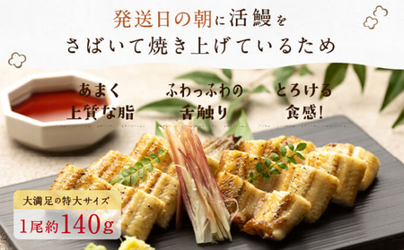 朝じめ うなぎ 溶岩焼き 白焼き 10尾（約140g×10尾）