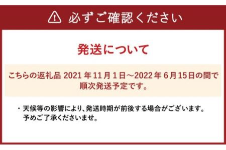 熊本県産 カルゲン農法米 コシヒカリ米 10kg 精米 米