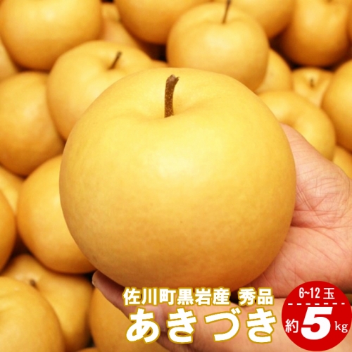 あきづき（約５kg）