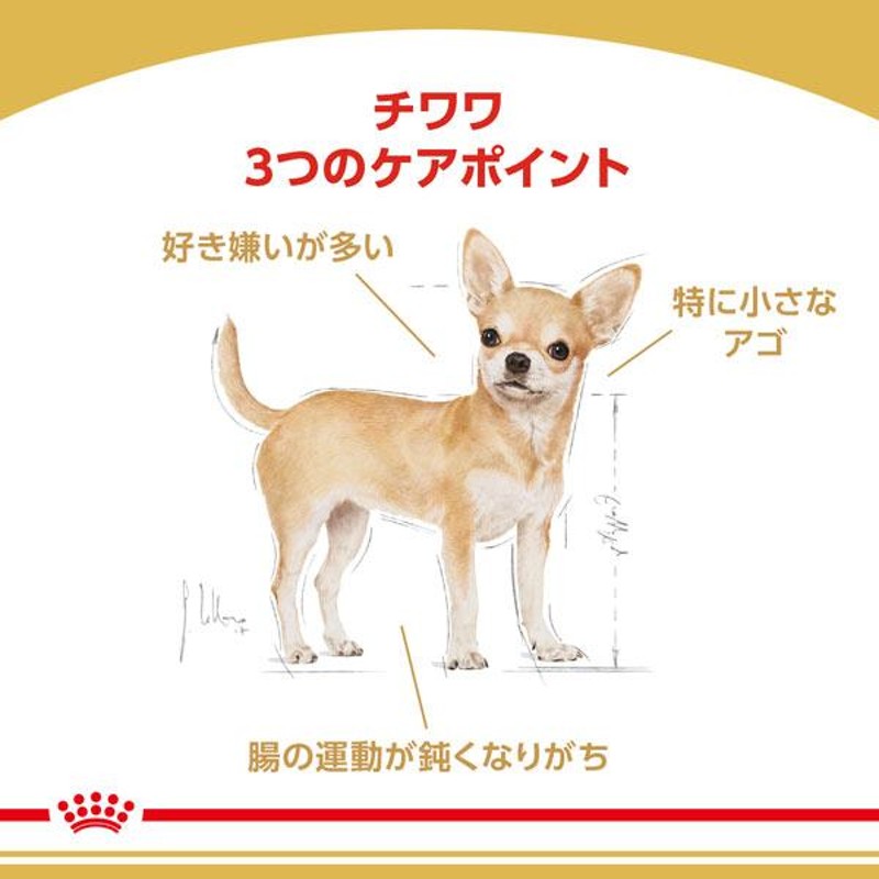 正規品 ロイヤルカナン 犬ドライ チワワ 成犬用(生後8ヵ月以上) 3kg