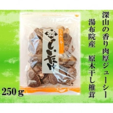 深山の香り湯布院産の原木干し椎茸　250g