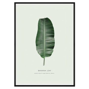 生氣盎然 芭蕉葉 黑色框  70 x 50cm  黑色