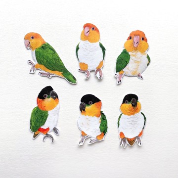 Rolia's 手作 凱克鸚鵡 透明白墨防水貼紙