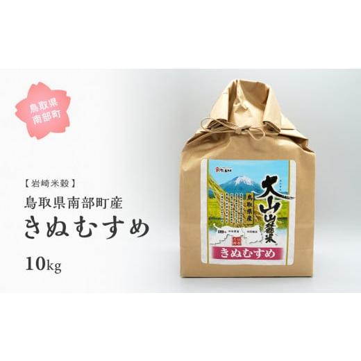 ふるさと納税 鳥取県 南部町 鳥取県南部町産きぬむすめ10kg [令和5年産]＜玄米でお届け＞