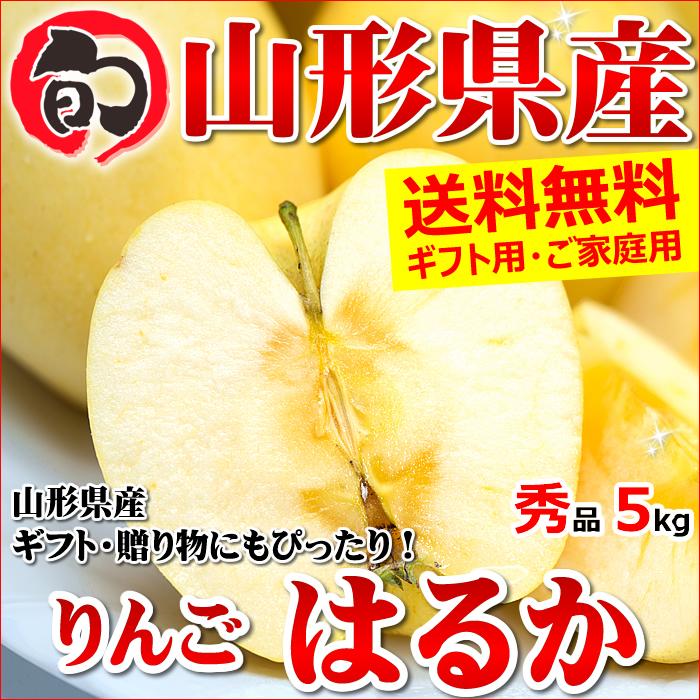 山形県産 りんご はるか 5kg(秀品 12〜20玉入り)