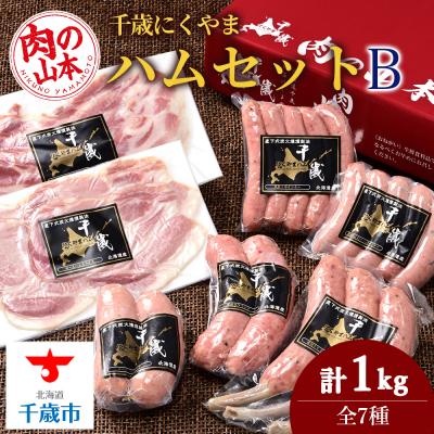 ふるさと納税 千歳市 ハムギフトセットB(NYH-03)7品 詰合せ ハム ソーセージ 〈肉の山本〉