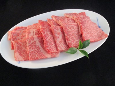 A5 A4 佐賀牛 肩ロース 焼肉用 500g J370