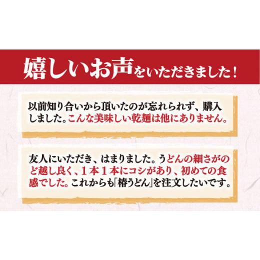 ふるさと納税 長崎県 新上五島町 椿うどん 300g×15袋 五島うどん うどん 乾麺 麺 保存食 業務用 大容量  [RAO004]