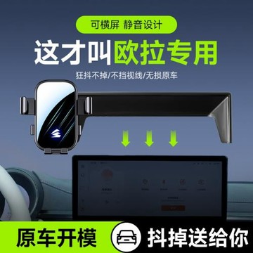 卡屏幕款專車專用手機支架汽車車載用歐拉閃電貓鏡面靜音導航支架