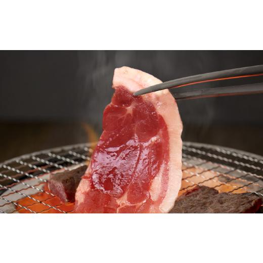 ふるさと納税 千葉県 富津市 ALSOKの房総ジビエ「猪肉」BBQセット（焼肉用600g＆ハム・ソーセージ約300g）