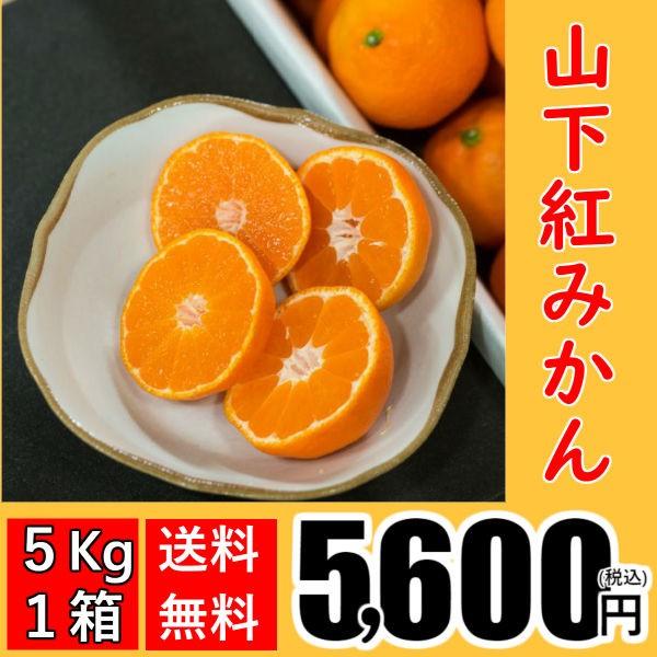 山下紅みかん（5kg×1箱)