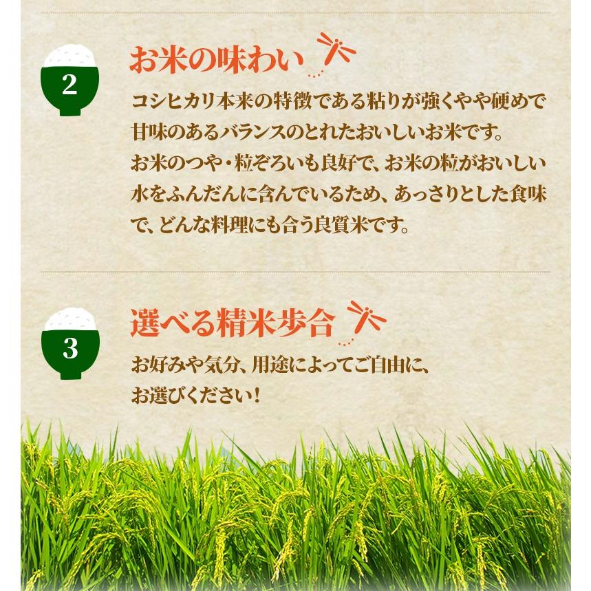 12 7エントリーで 4％    富山県産 コシヒカリ 玄米 15kg 米 コメ こめ お米 おこめ