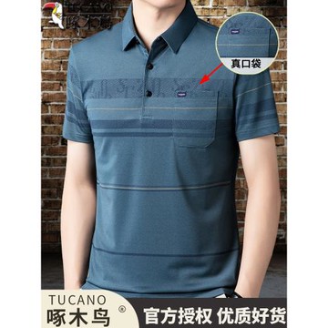 啄木鳥短袖t恤男2024新款中老年男士半袖純棉薄款爸爸夏裝POLO衫