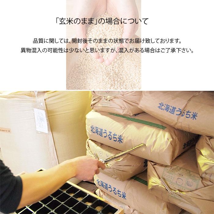 新米 米 10kg 5kg×2袋セット お米 玄米 ふっくりんこ 北海道産 玄米 白米 分づき米 令和5年産 送料無料