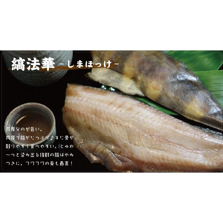 干物 一夜干し 縞ホッケ 海産物 真空 北の魚 縞ほっけ 半身 2枚入