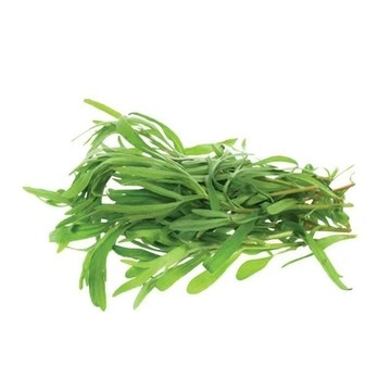 青禾園藝（麵條菜種子大全）野菜  新手易種  四季高產蔬菜  速生耐抽苔陽臺庭院可種 #台灣自留種